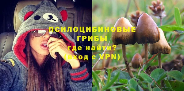 винт Богданович