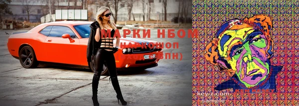 винт Богданович