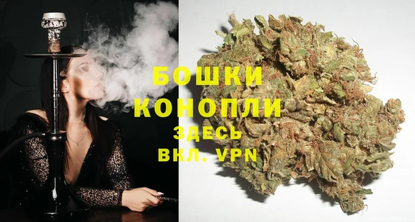 ECSTASY Богородск