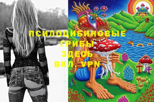 метадон Богородицк