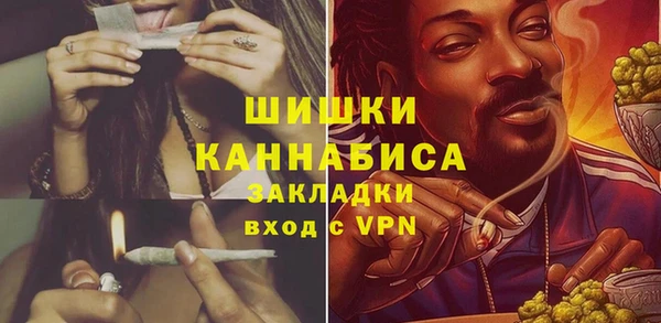 ECSTASY Богородск
