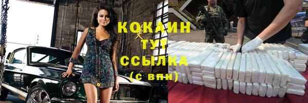 винт Богданович