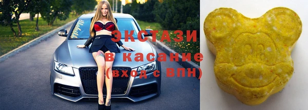 ECSTASY Богородск