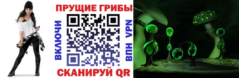 Галлюциногенные грибы MAGIC MUSHROOMS  где можно купить наркотик  Екатеринбург 